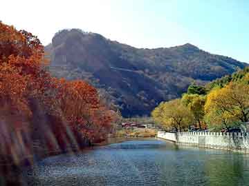 新澳天天开奖资料大全旅游团，松研电器